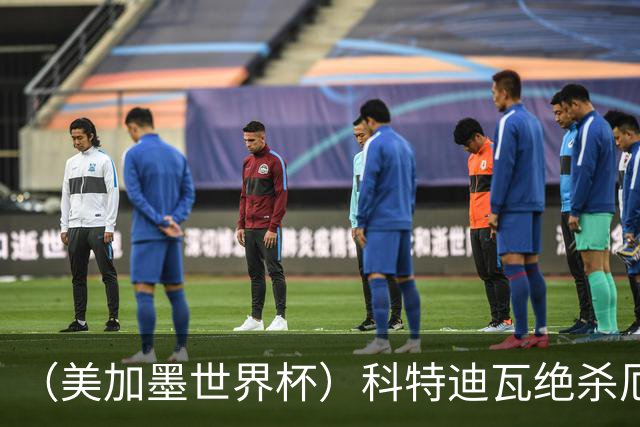 （美加墨世界杯）科特迪瓦绝杀厄瓜多尔 瑞典5:1大胜突尼斯